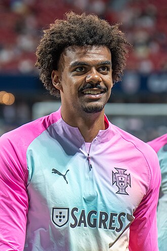 Renato Veiga